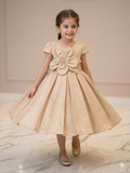 Ff027- Moonlight Sequence Floral Frock