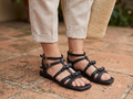 Sh018-