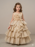 Ff044- Organza Multi Step Dumba Frock