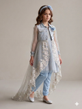 Ff031- Embroidered Net Tail Gown With Frock For Babygirl