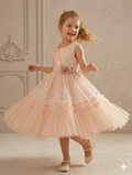 Ff036-  Net Frill Fairy Frock