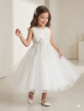 Ff038- Imported Net Fairy Frock