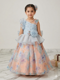 Ff034- Organza Printed Barbie Frock